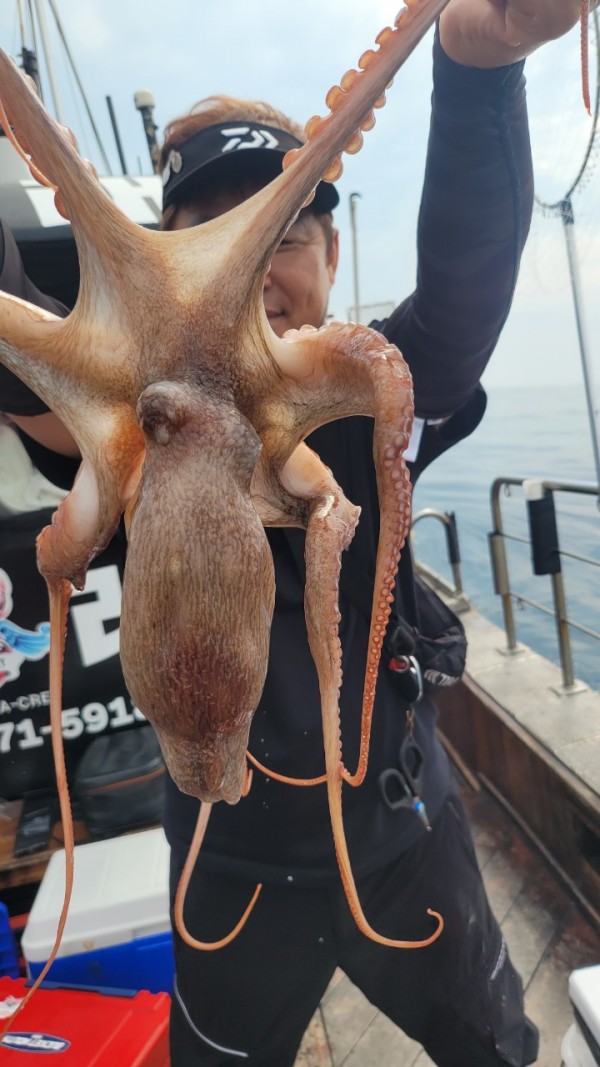 171e225c3bf463af52fe8780c803718c_1767516