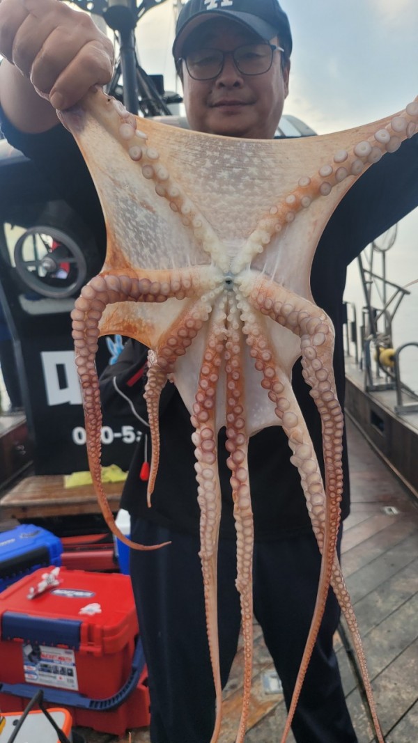 171e225c3bf463af52fe8780c803718c_1767516