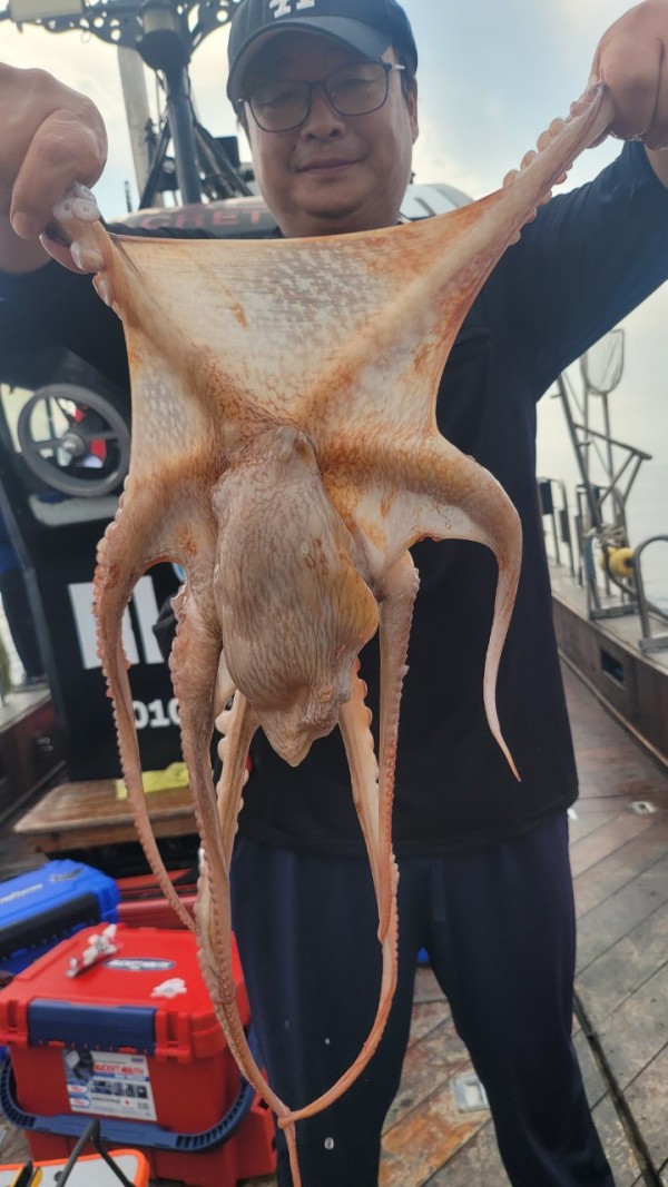 171e225c3bf463af52fe8780c803718c_1767516