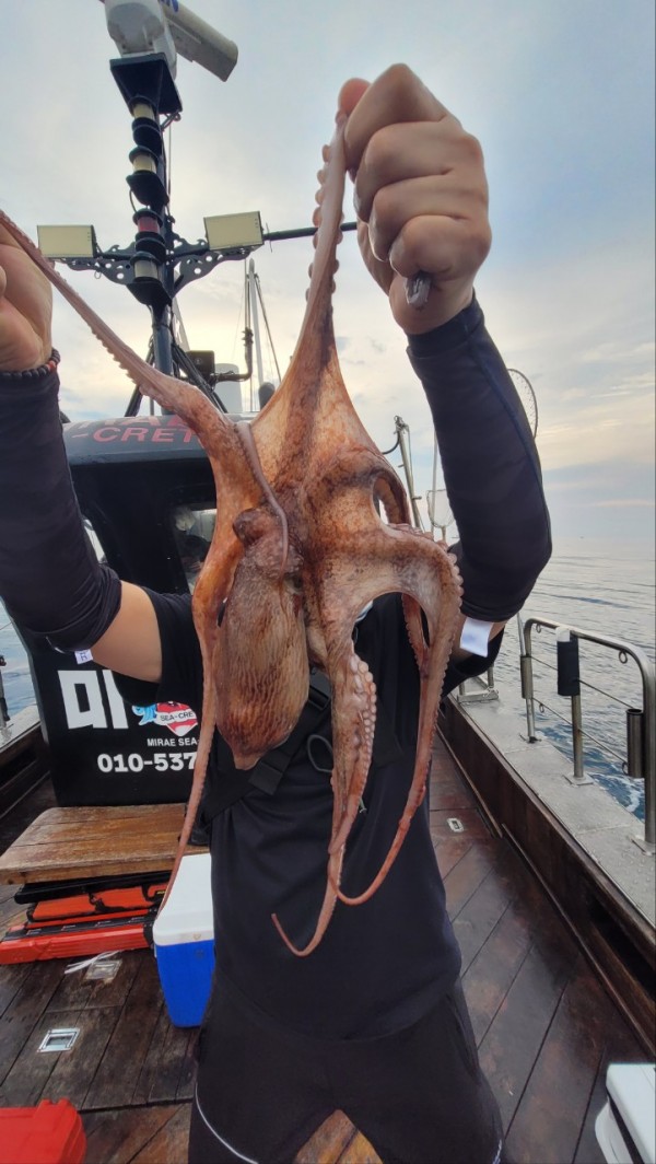 171e225c3bf463af52fe8780c803718c_1767516