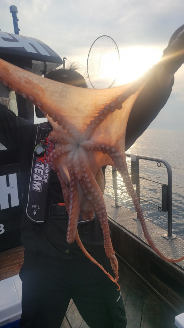 171e225c3bf463af52fe8780c803718c_1767516