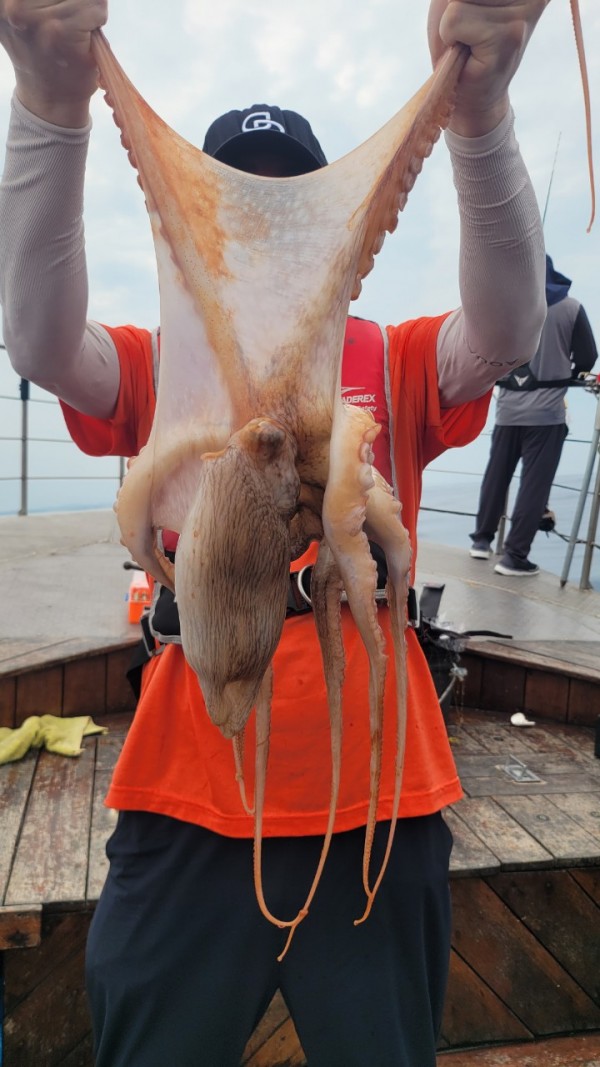 171e225c3bf463af52fe8780c803718c_1767516