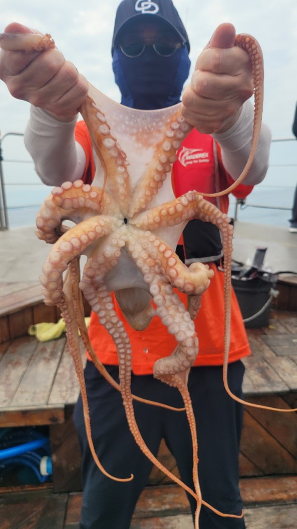 171e225c3bf463af52fe8780c803718c_1767516