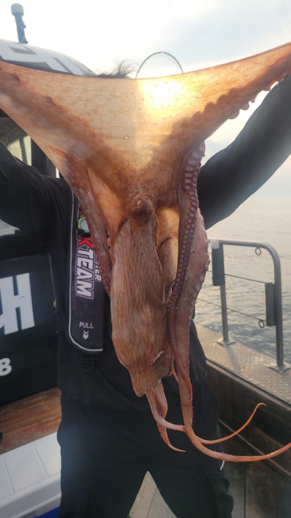 171e225c3bf463af52fe8780c803718c_1767516