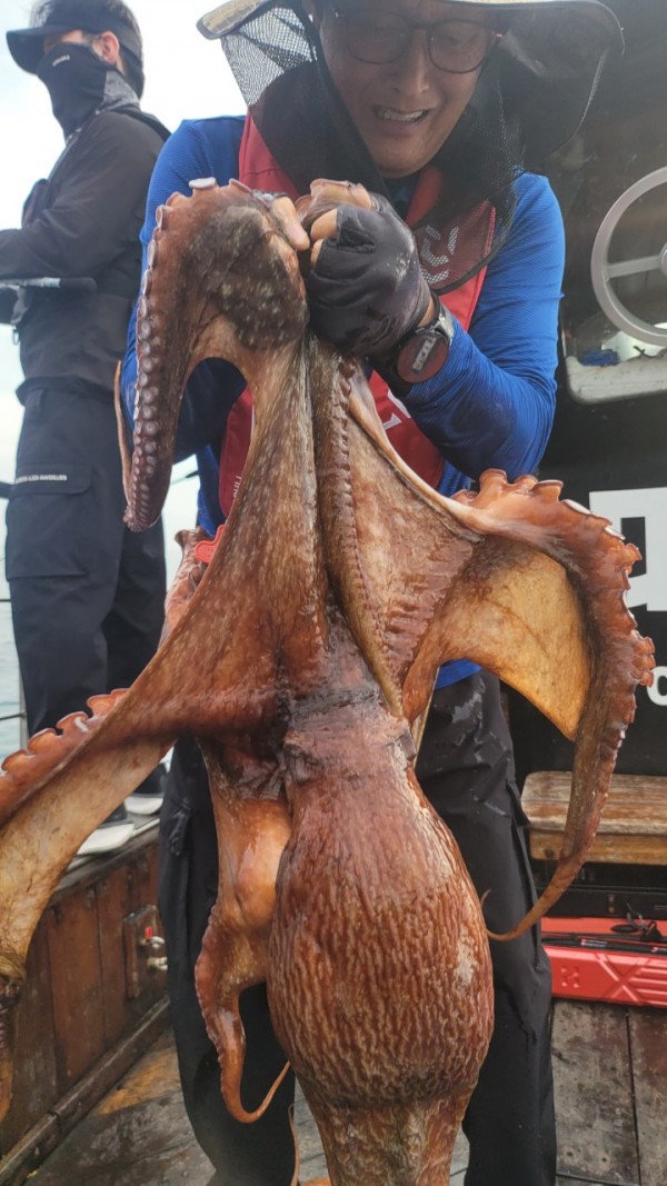 171e225c3bf463af52fe8780c803718c_1767516