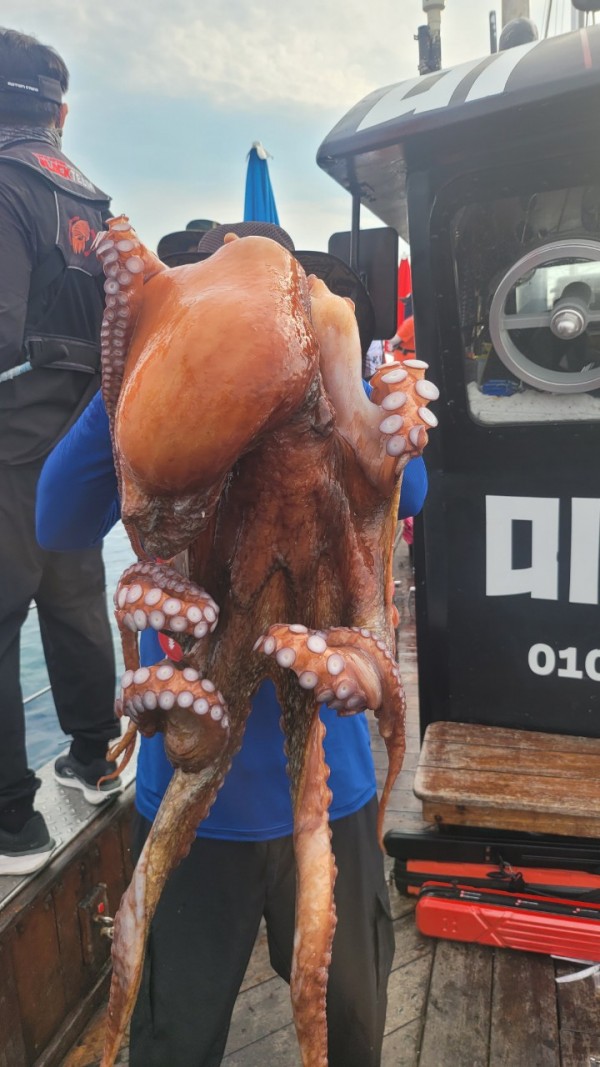 171e225c3bf463af52fe8780c803718c_1767516