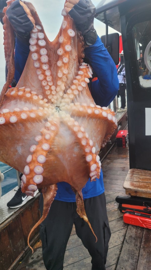 171e225c3bf463af52fe8780c803718c_1767516