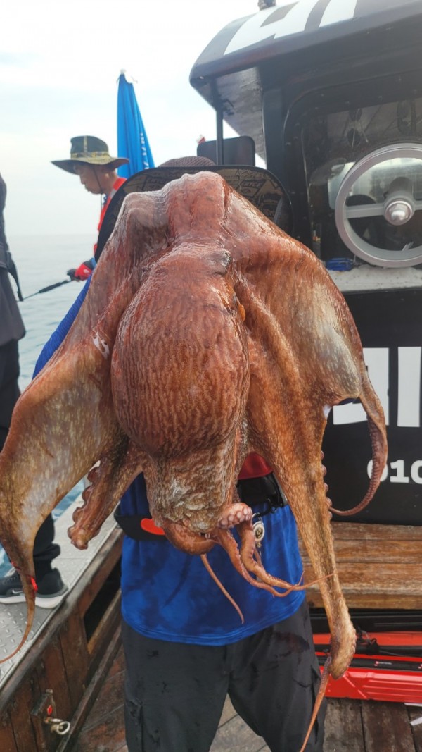 171e225c3bf463af52fe8780c803718c_1767516