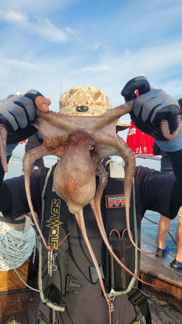 171e225c3bf463af52fe8780c803718c_1767516