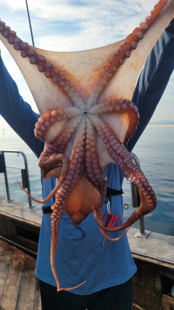 171e225c3bf463af52fe8780c803718c_1767516