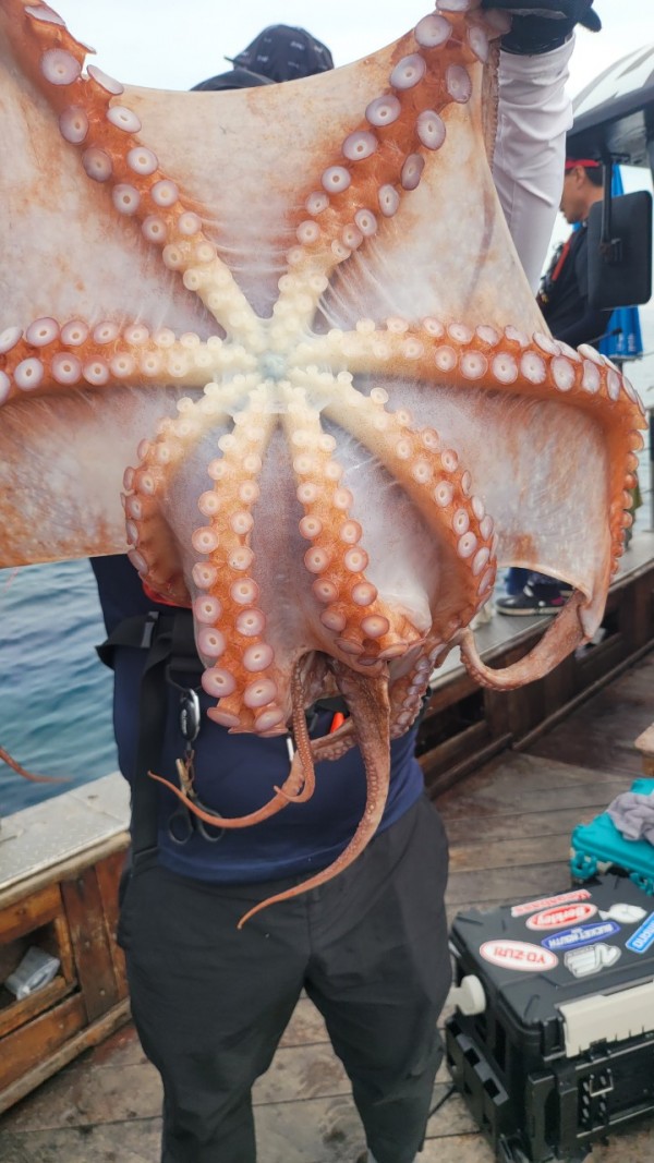 171e225c3bf463af52fe8780c803718c_1767516