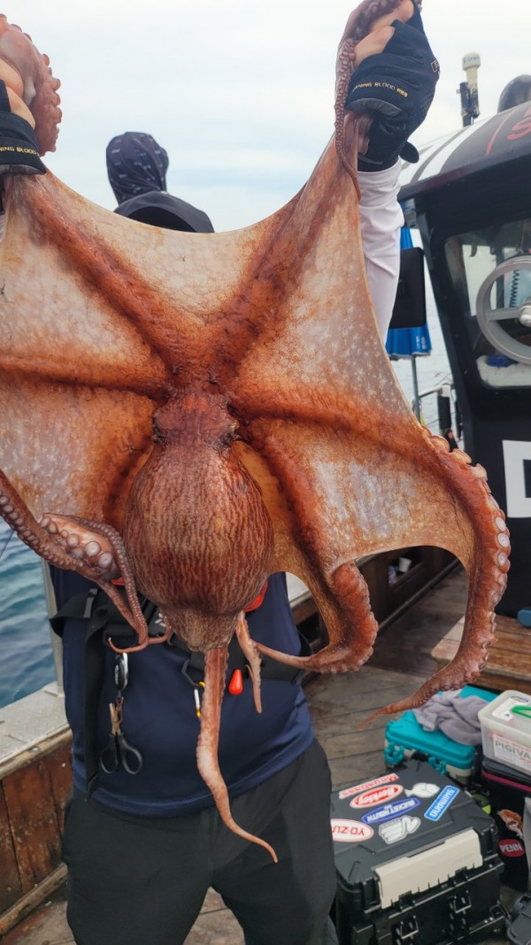 171e225c3bf463af52fe8780c803718c_1767516