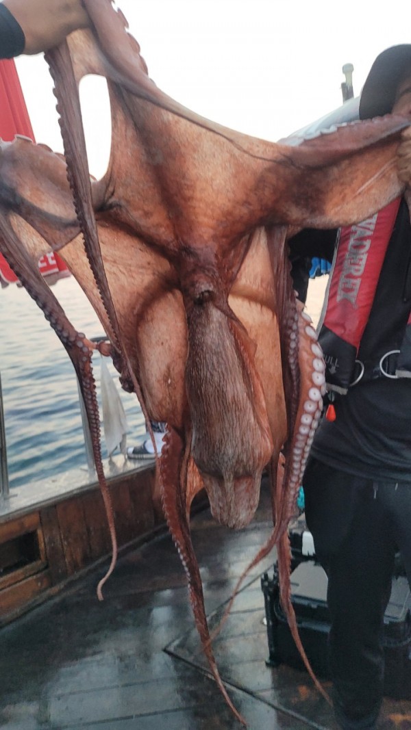 171e225c3bf463af52fe8780c803718c_1767516