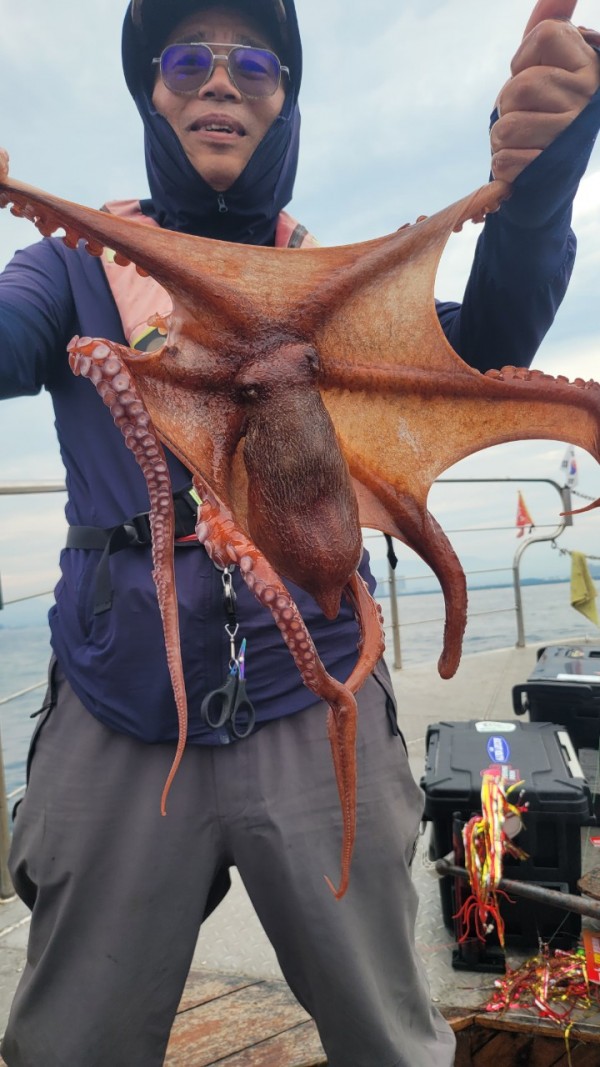 1cad20d7f636b618e01c3e2d7333a18d_1767508