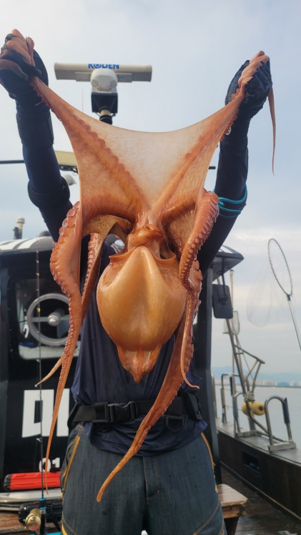 1cad20d7f636b618e01c3e2d7333a18d_1767508