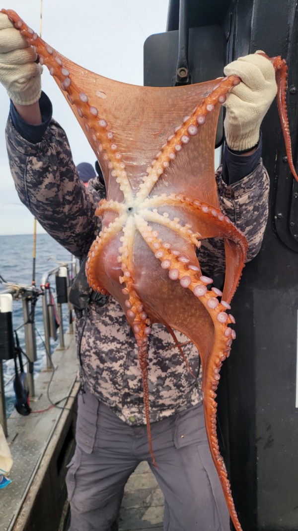 24518413422fd8afc37892e130623dee_1769582