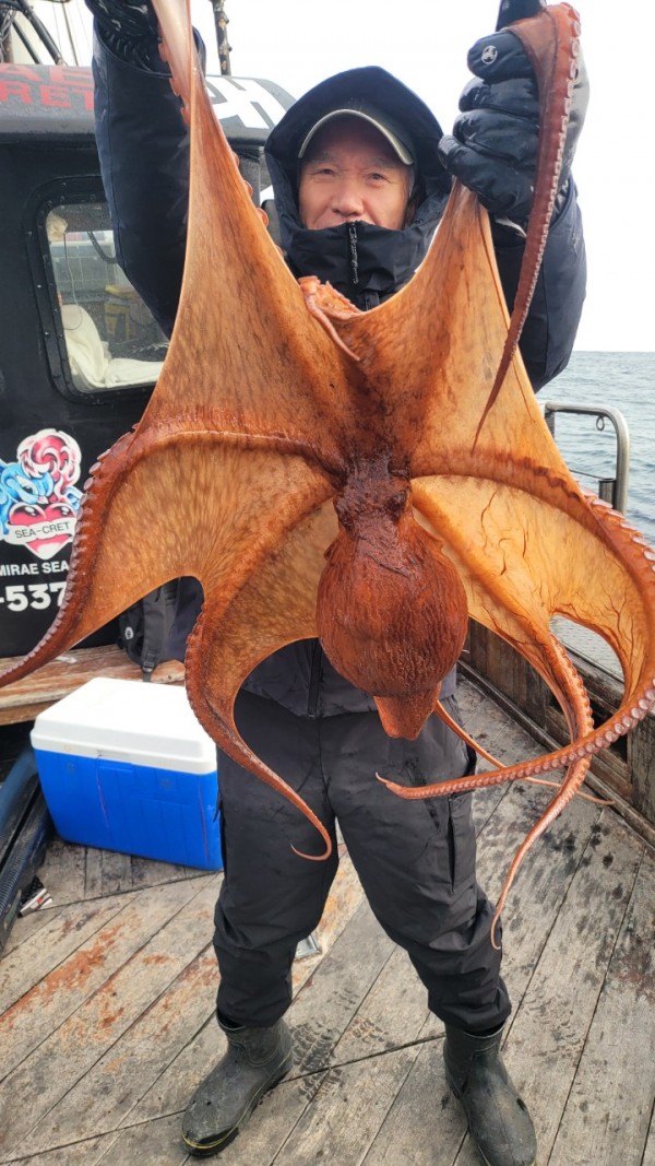 24518413422fd8afc37892e130623dee_1769582