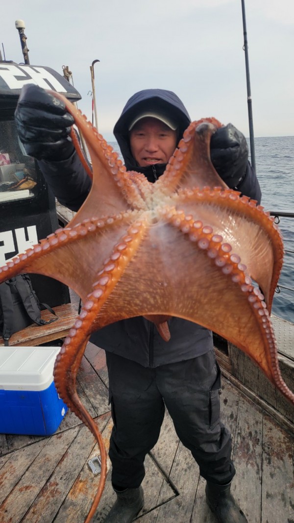 24518413422fd8afc37892e130623dee_1769582