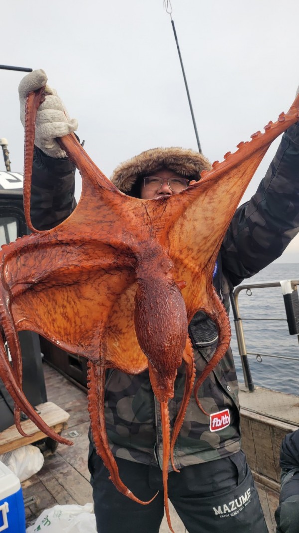 24518413422fd8afc37892e130623dee_1769582