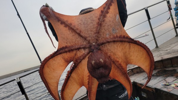 24518413422fd8afc37892e130623dee_1769582