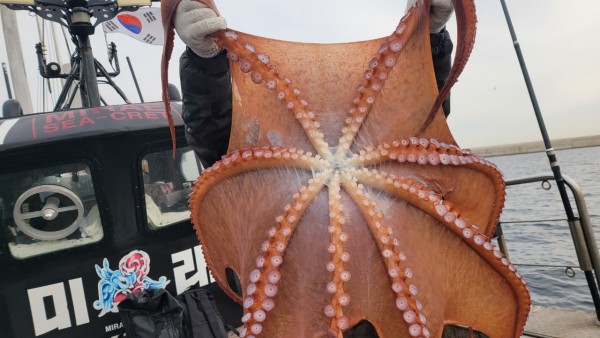 24518413422fd8afc37892e130623dee_1769582