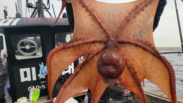 24518413422fd8afc37892e130623dee_1769582