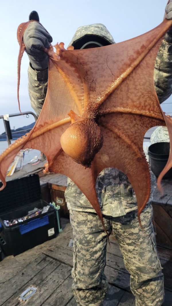 24518413422fd8afc37892e130623dee_1769582