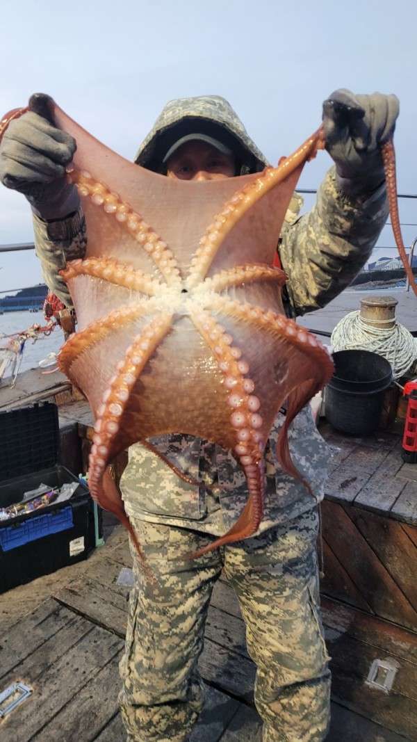 24518413422fd8afc37892e130623dee_1769582