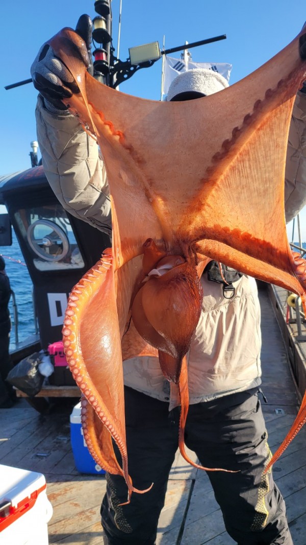 24518413422fd8afc37892e130623dee_1769582