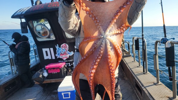 24518413422fd8afc37892e130623dee_1769582