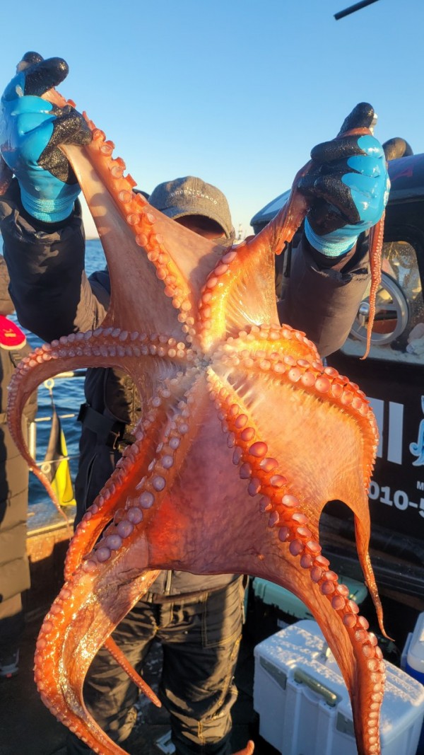 24518413422fd8afc37892e130623dee_1769582