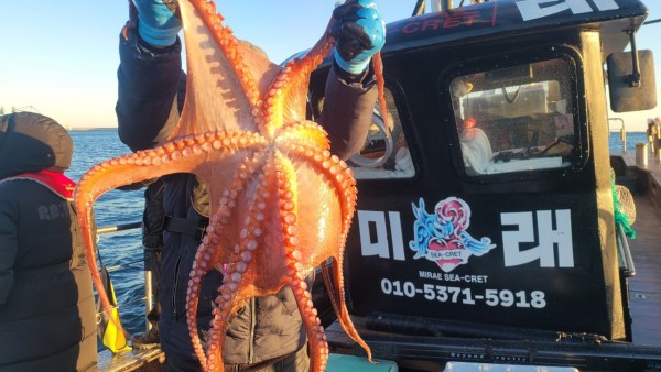 24518413422fd8afc37892e130623dee_1769582