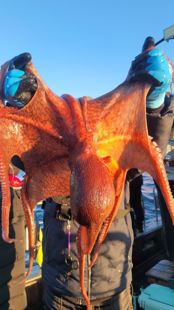 24518413422fd8afc37892e130623dee_1769582