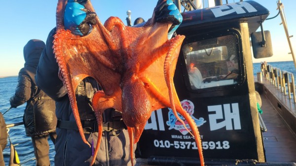 24518413422fd8afc37892e130623dee_1769582