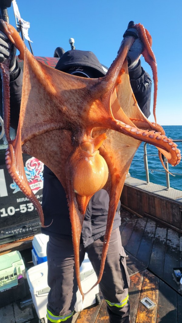 24518413422fd8afc37892e130623dee_1769582