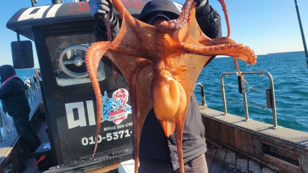 24518413422fd8afc37892e130623dee_1769582