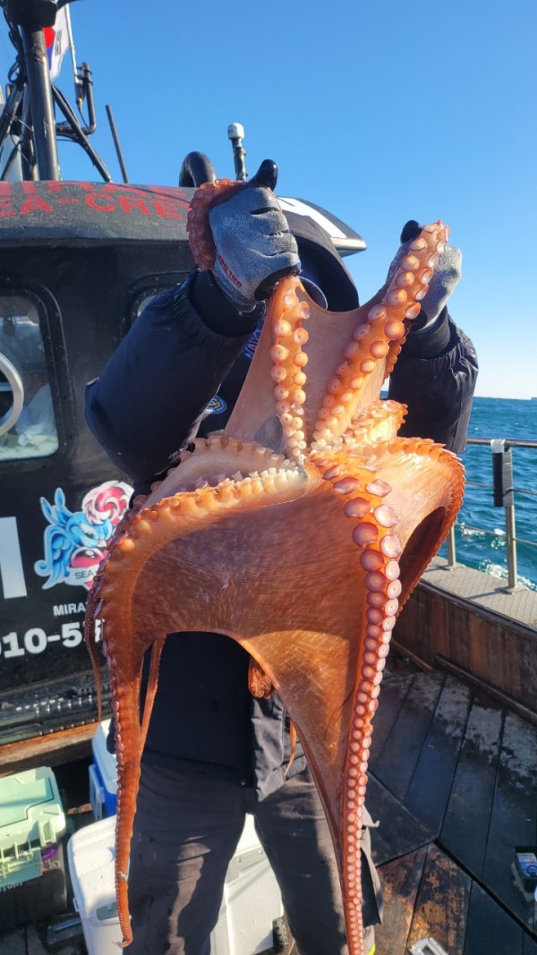 24518413422fd8afc37892e130623dee_1769582