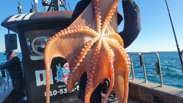 24518413422fd8afc37892e130623dee_1769582