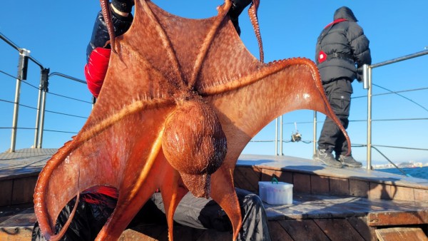 24518413422fd8afc37892e130623dee_1769582