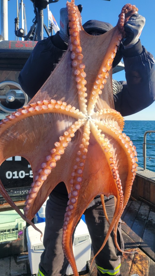 24518413422fd8afc37892e130623dee_1769582