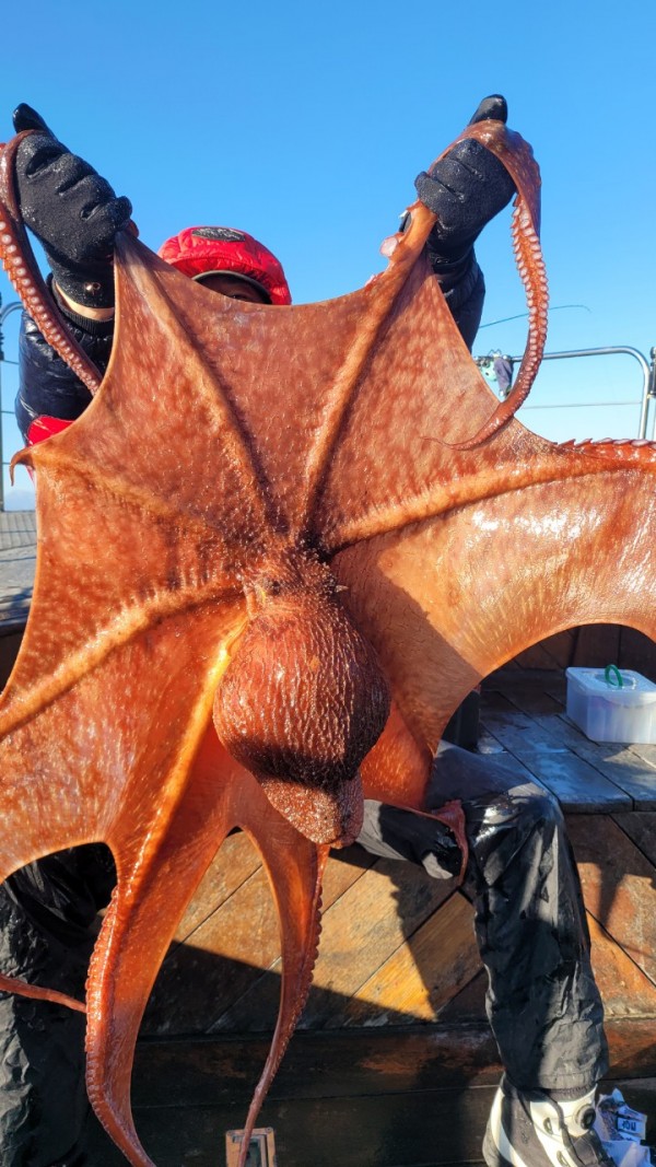 24518413422fd8afc37892e130623dee_1769582