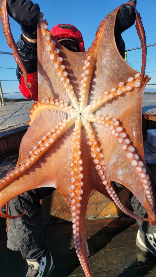 24518413422fd8afc37892e130623dee_1769582