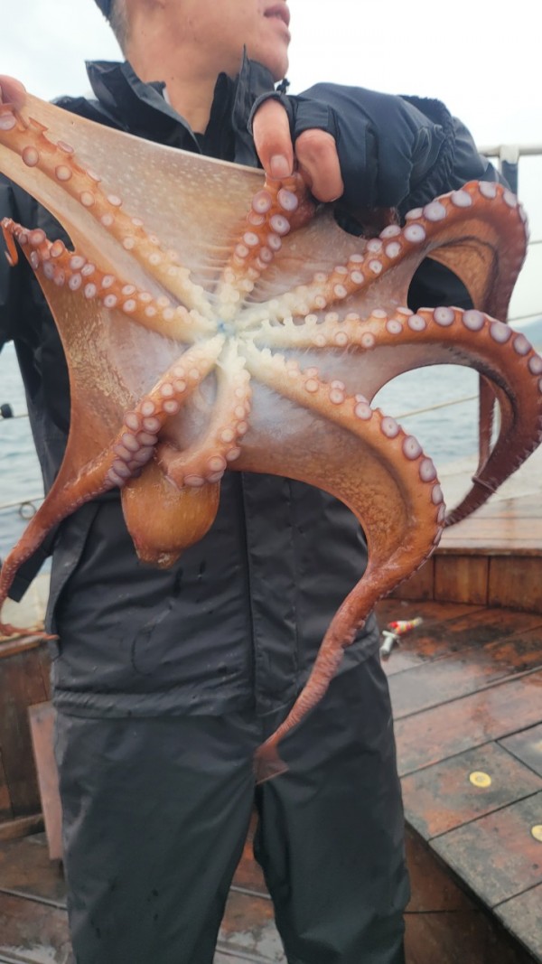 25edc4845a744cd7f461388876952778_1767509