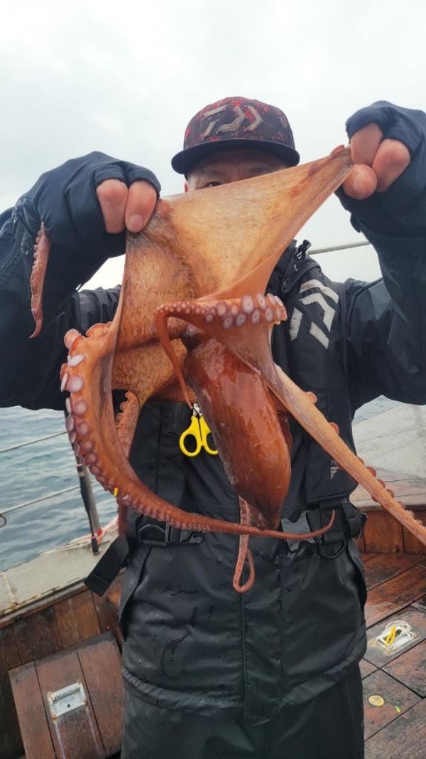 25edc4845a744cd7f461388876952778_1767509