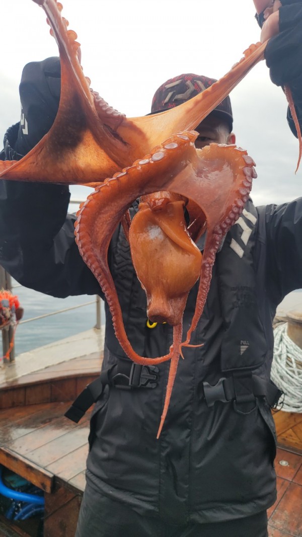 25edc4845a744cd7f461388876952778_1767509