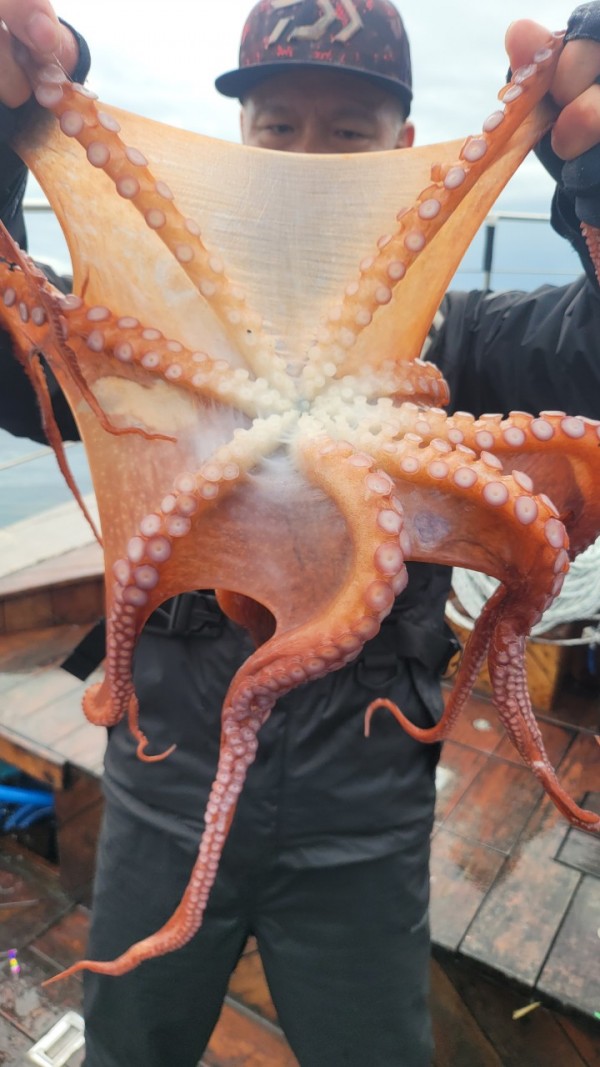 25edc4845a744cd7f461388876952778_1767509