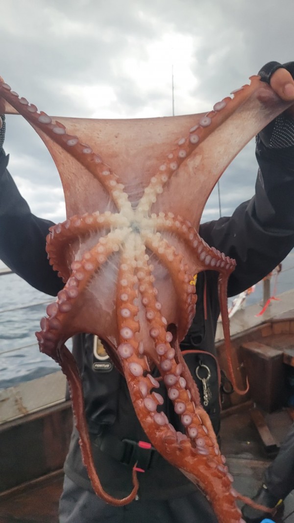 25edc4845a744cd7f461388876952778_1767509