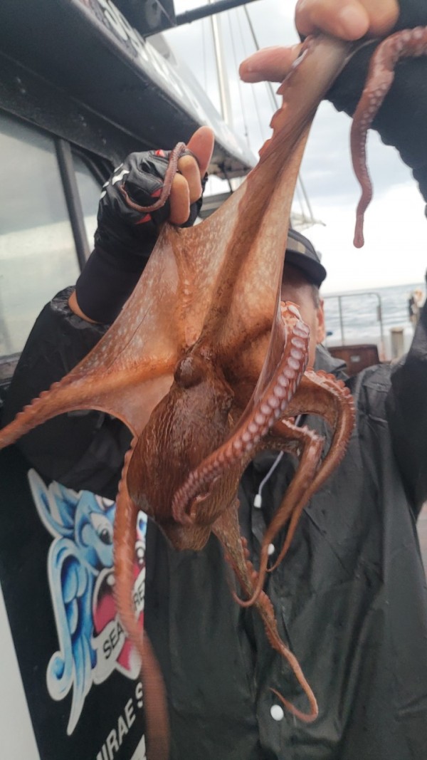 25edc4845a744cd7f461388876952778_1767509