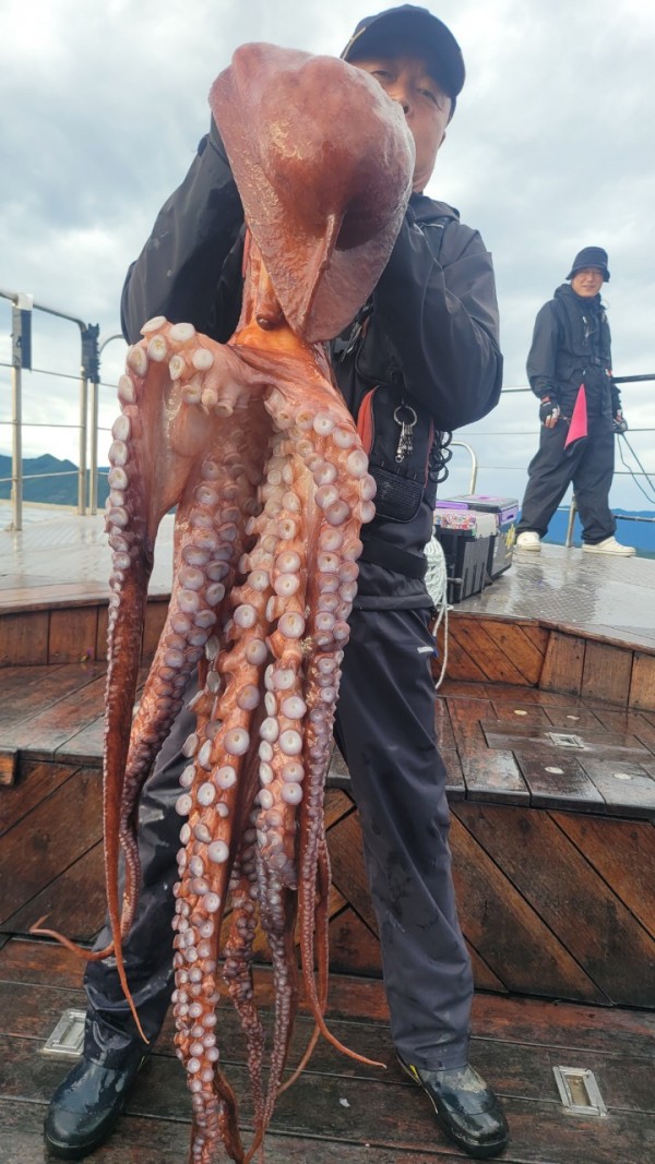 25edc4845a744cd7f461388876952778_1767509