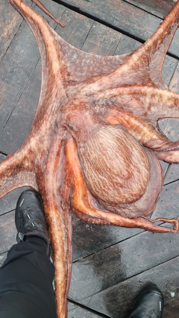 25edc4845a744cd7f461388876952778_1767509